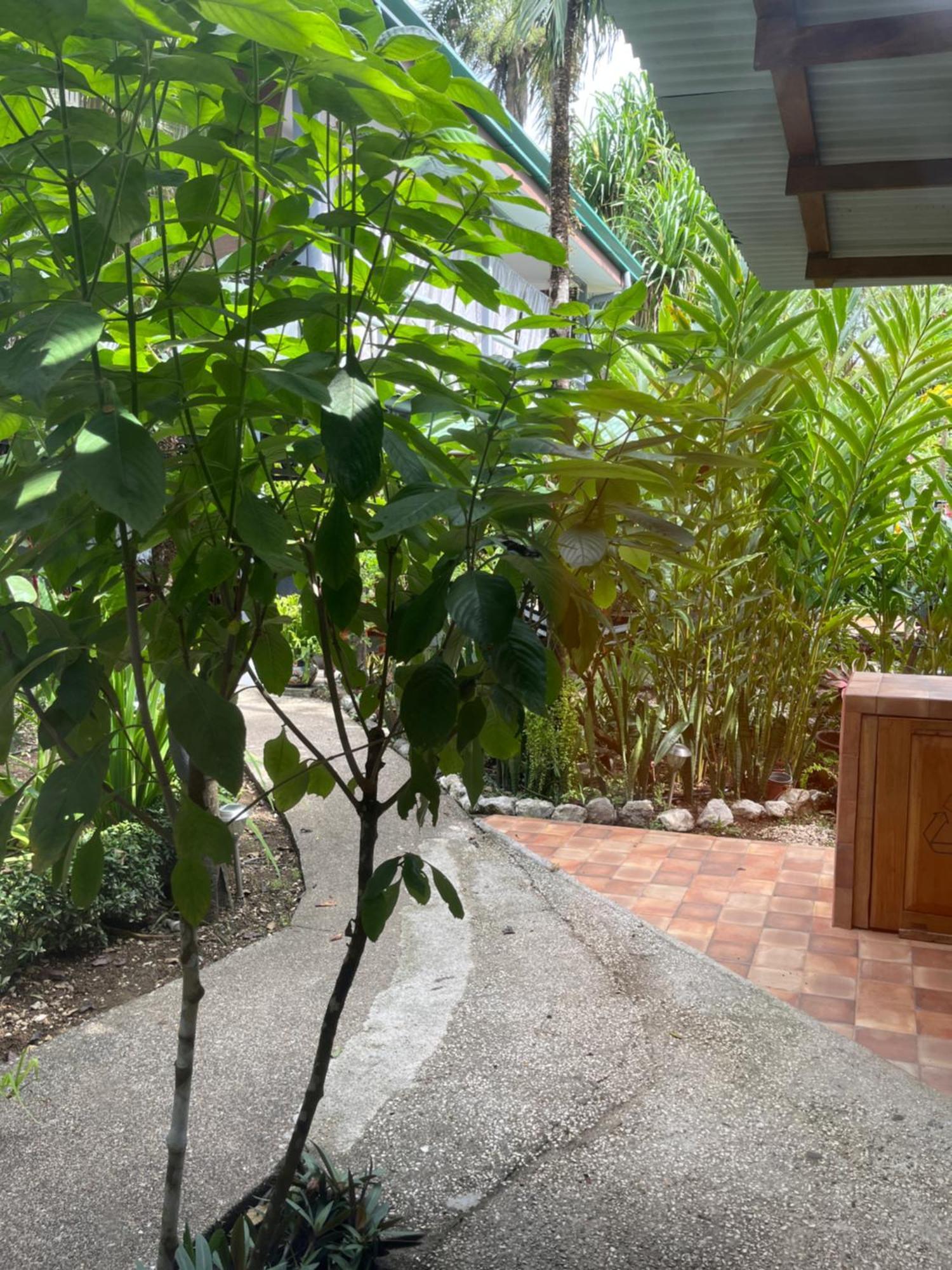 Hotel Entre Dos Aguas Самара Екстер'єр фото